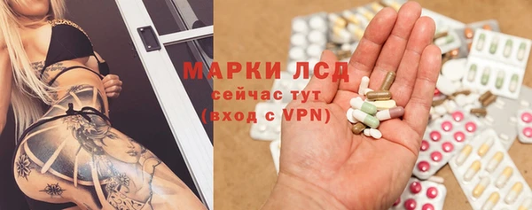 молекула духа Богородицк