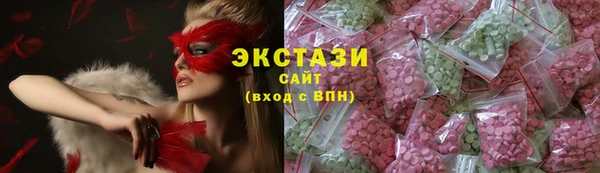 молекула духа Богородицк