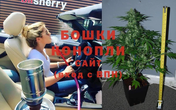 молекула духа Богородицк